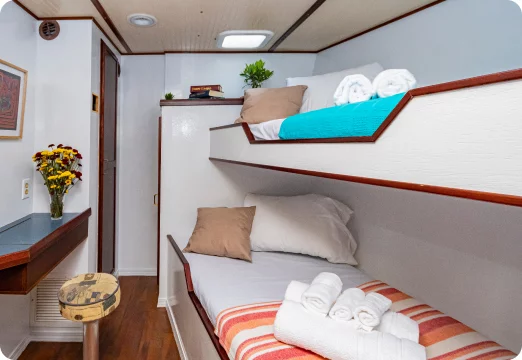 Custom Made (Schooner Laurie Anne)  - 11