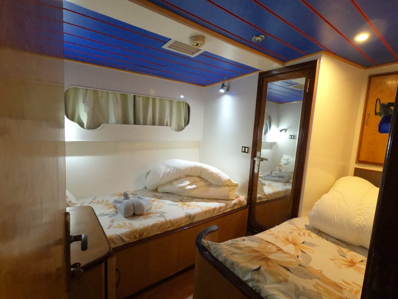 Photo #2 - Custom (Springland) in Hurghada - 3276