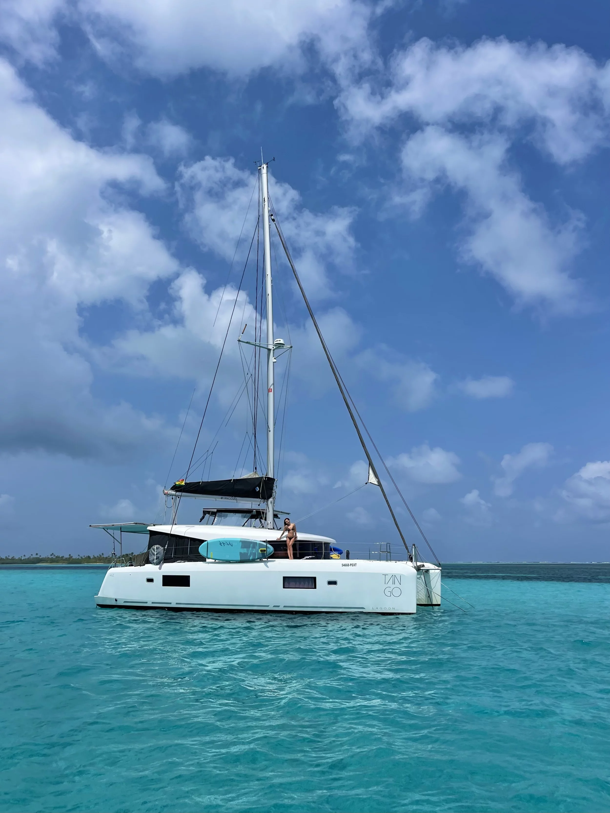LAGOON 42 (TANGO)  - 11