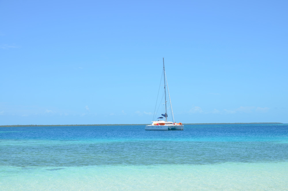 Photo #3 - Lagoon 500 (Sand Star) en Plage de concombre - 3343