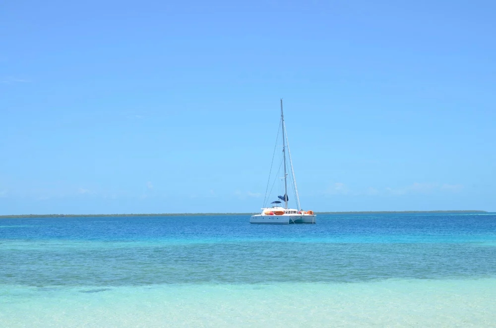 Lagoon 500 (Sand Star)  - 2
