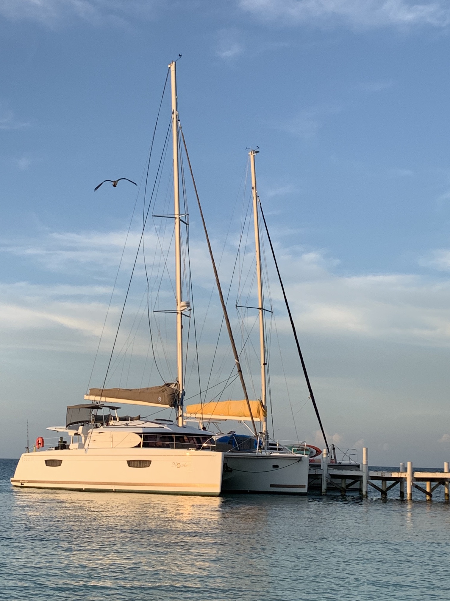 Photo #6 - Saba 50 (Nowhere) in Belize City - 3345