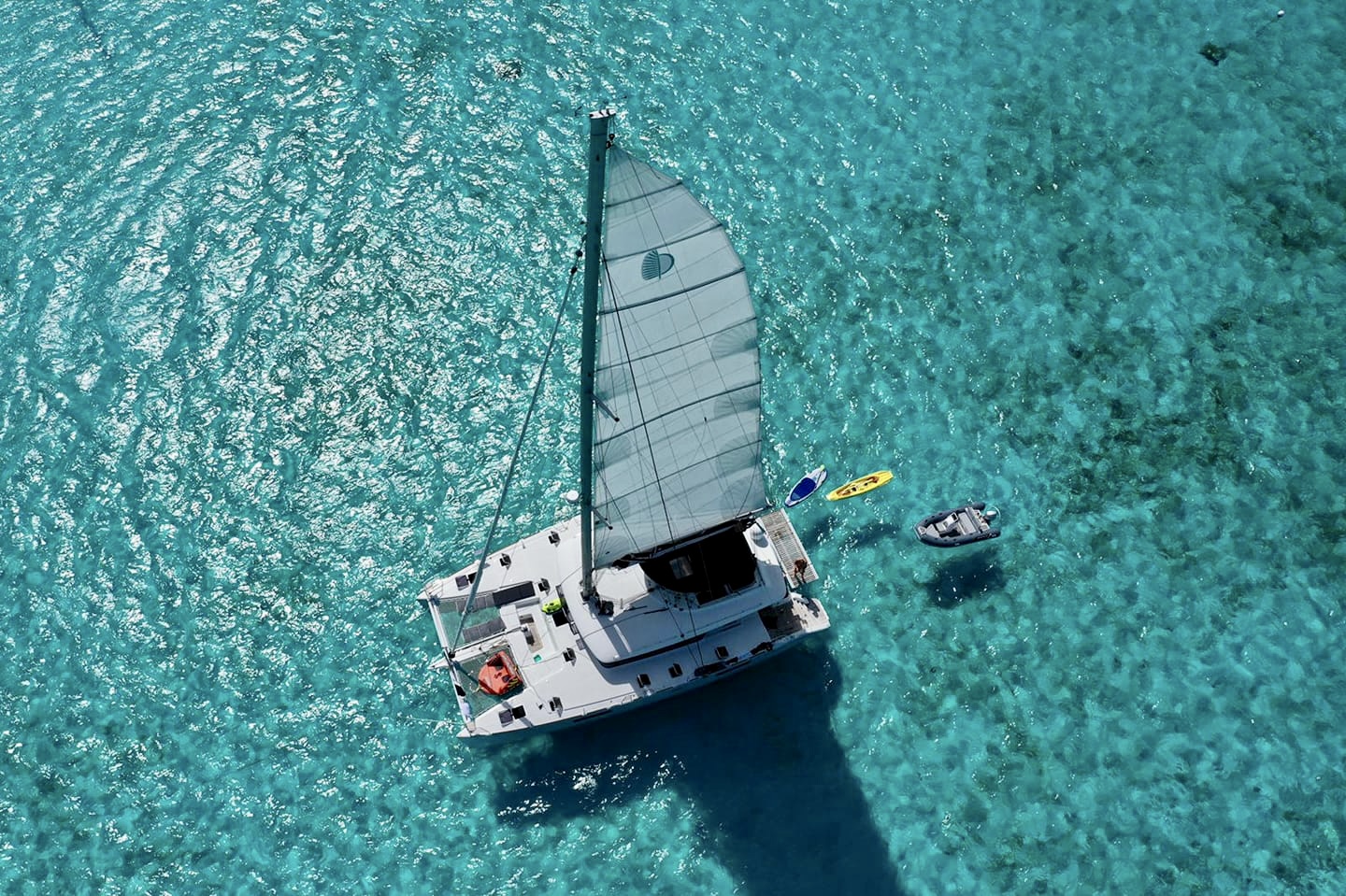 Photo #1 - Lagoon 560 S2 (Taipan) in Olbia - 3351