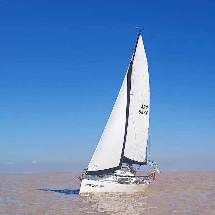 Alpha 260 (Prosum)  - 5