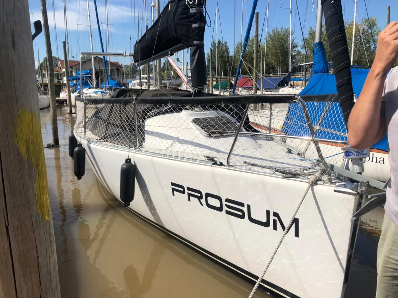 Alpha 260 (Prosum)  - 7