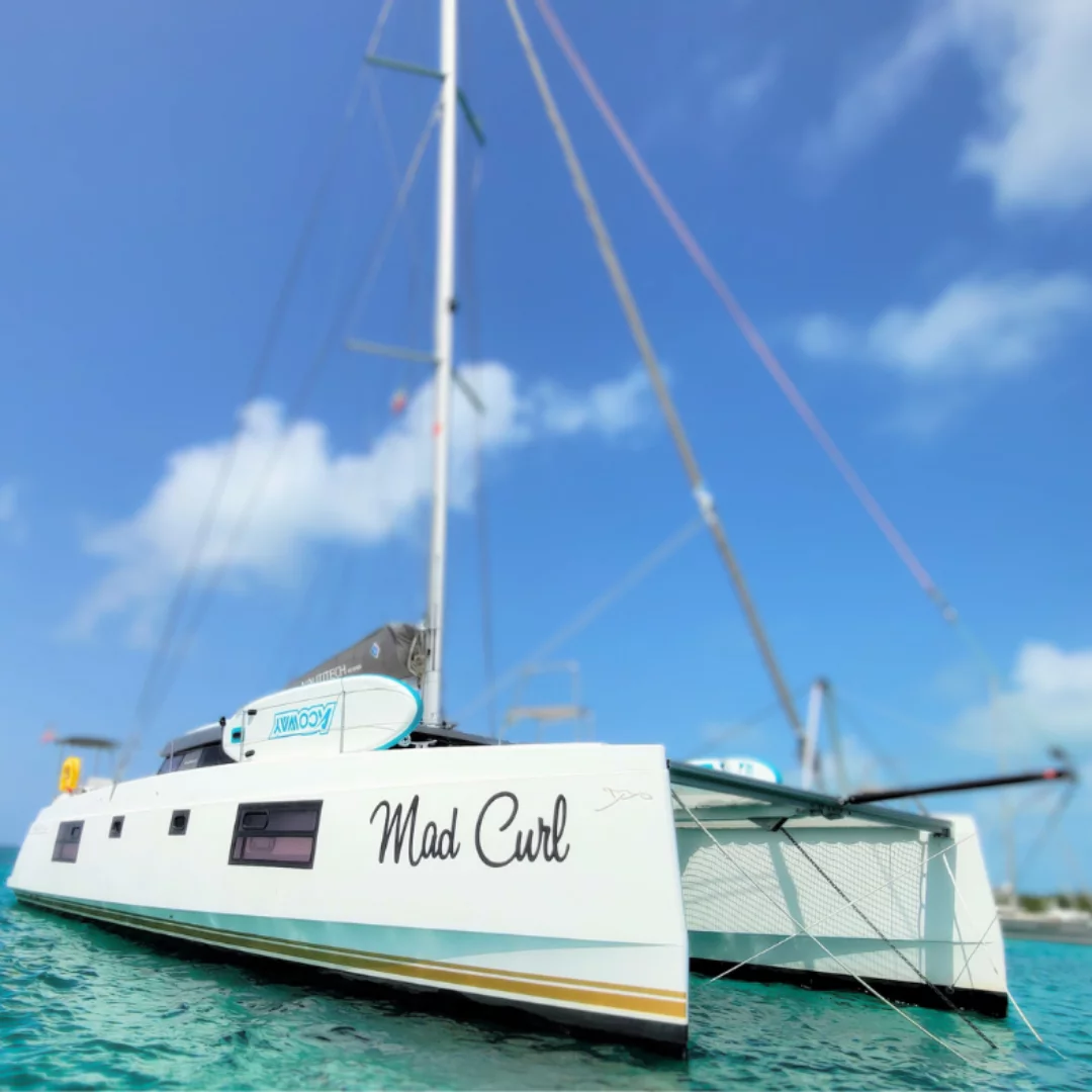 Nautitech 46 Open (Mad Curl)  - 7