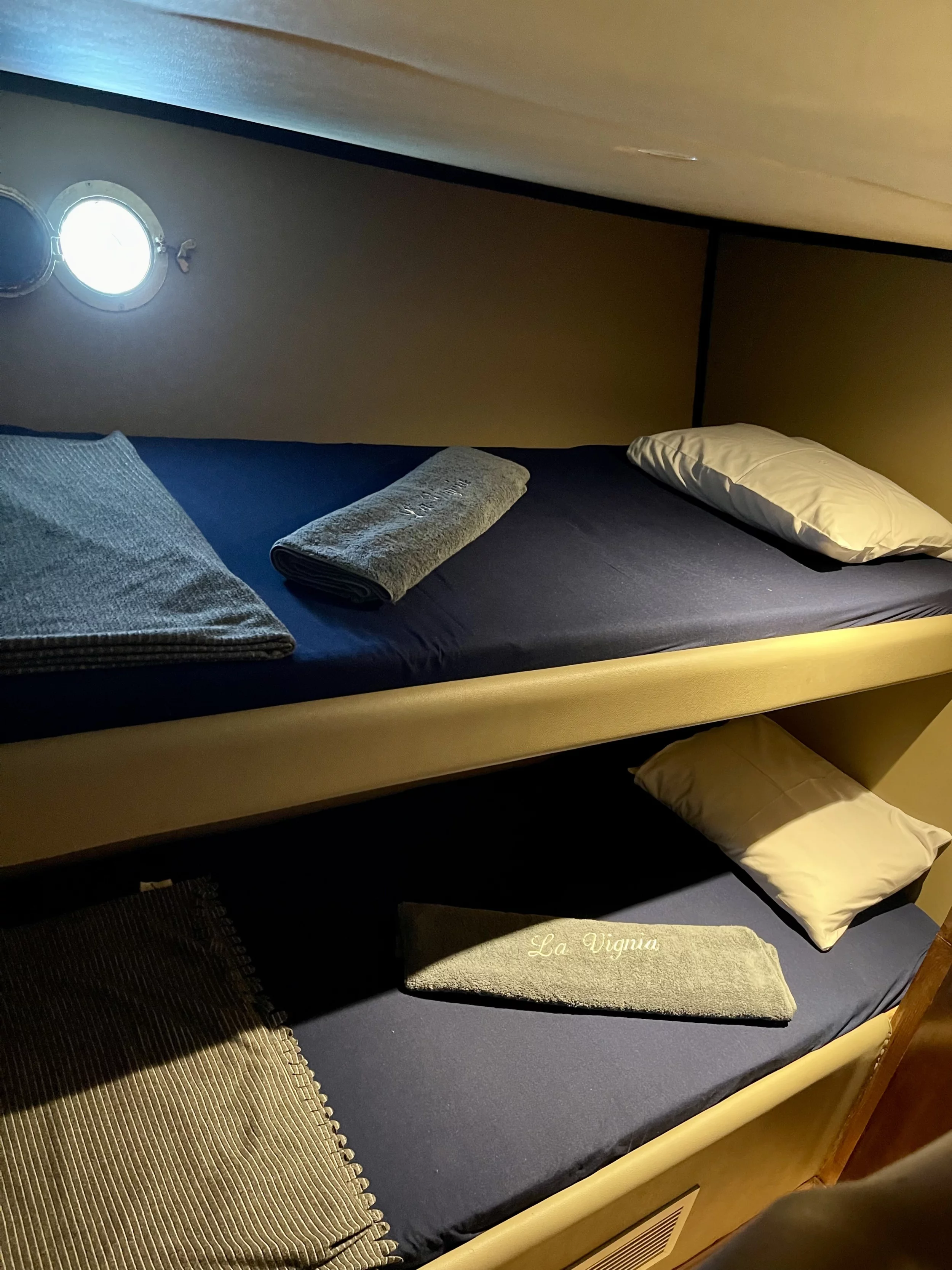 Lavignia (Lavignia Cruise)  - 14