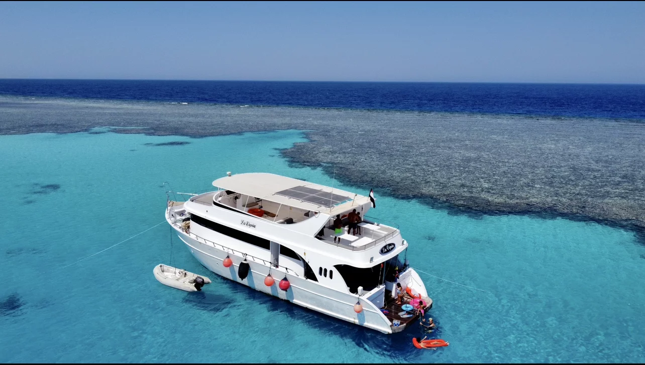 Lavignia (Lavignia Cruise)  - 0