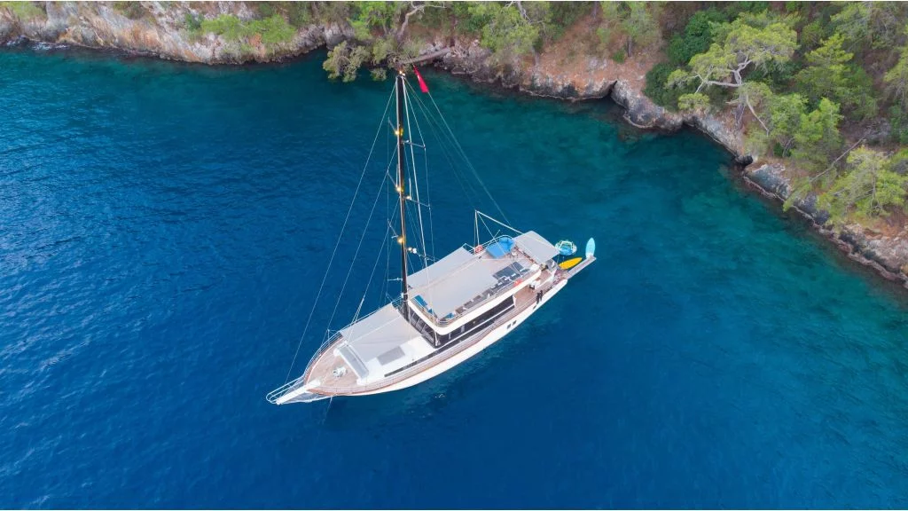Motor sailer (Nayk 2)  - 1