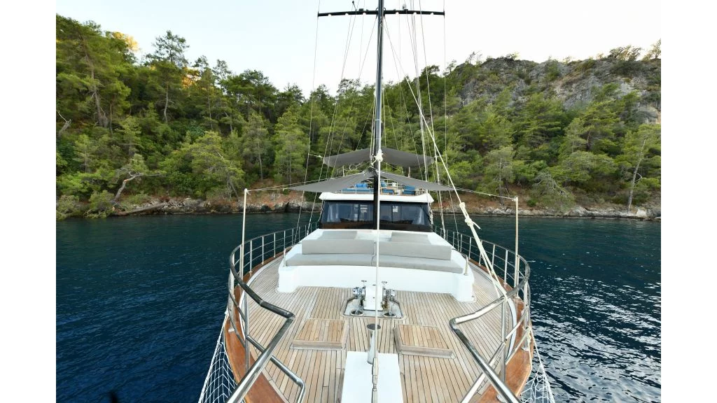 Motor sailer (Nayk 2)  - 15