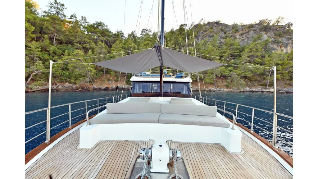 Motor sailer (Nayk 2)  - 16