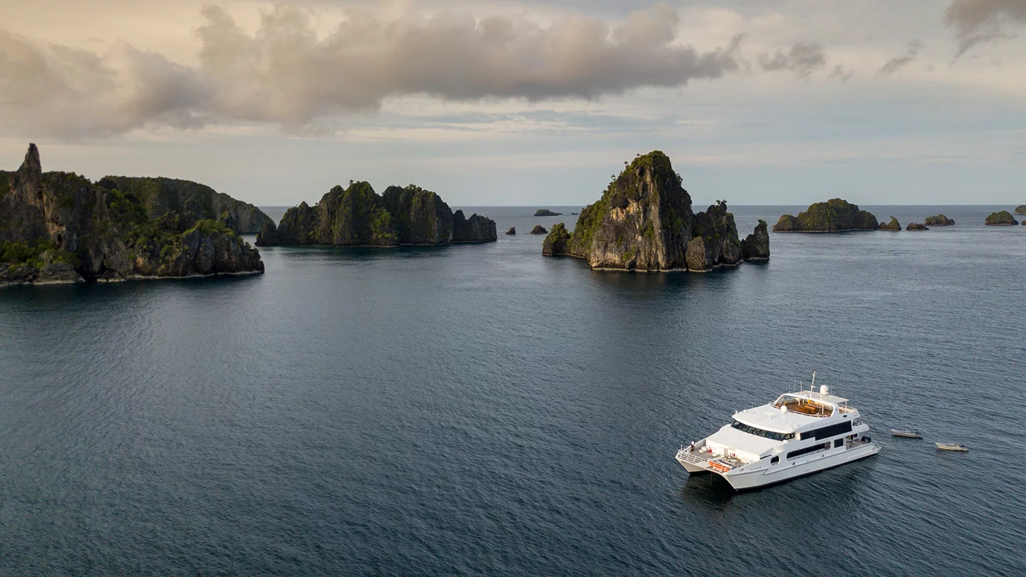 Power Catamaran (Solitude Adventurer)  - 19