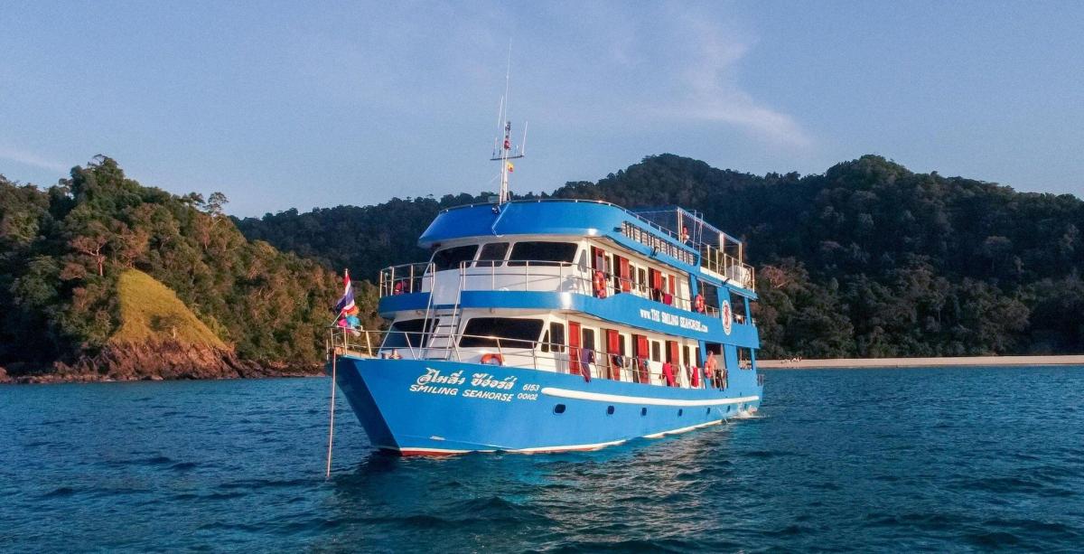 Whale shark dive expedition in Thailand - 
