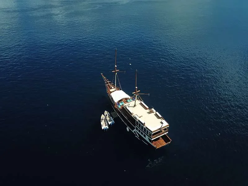 Schoon (Jelajahi Laut)  - 9
