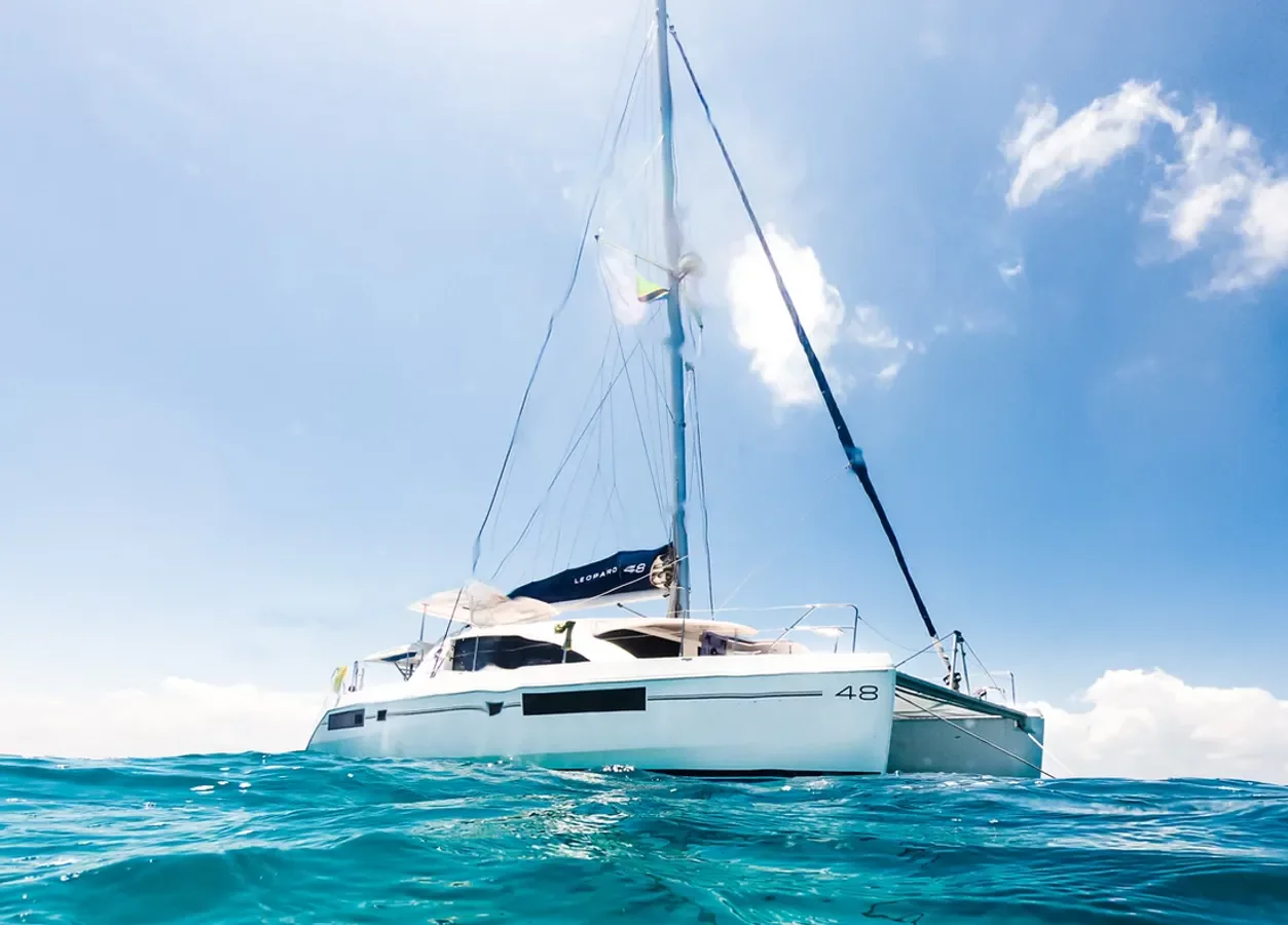 Leopard 48 Catamaran (Black Swan Catamaran)  - 7