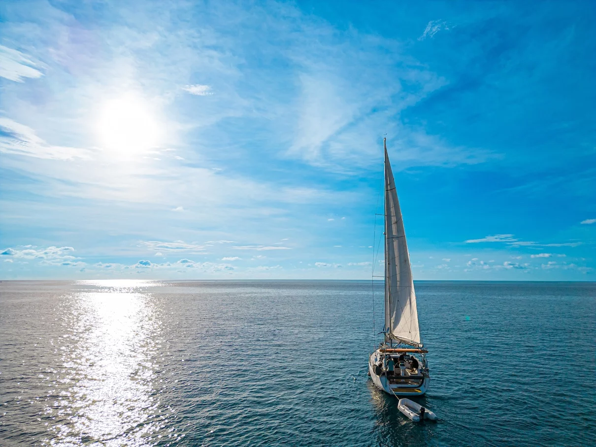 Hanse (Le Figuier)  - 8