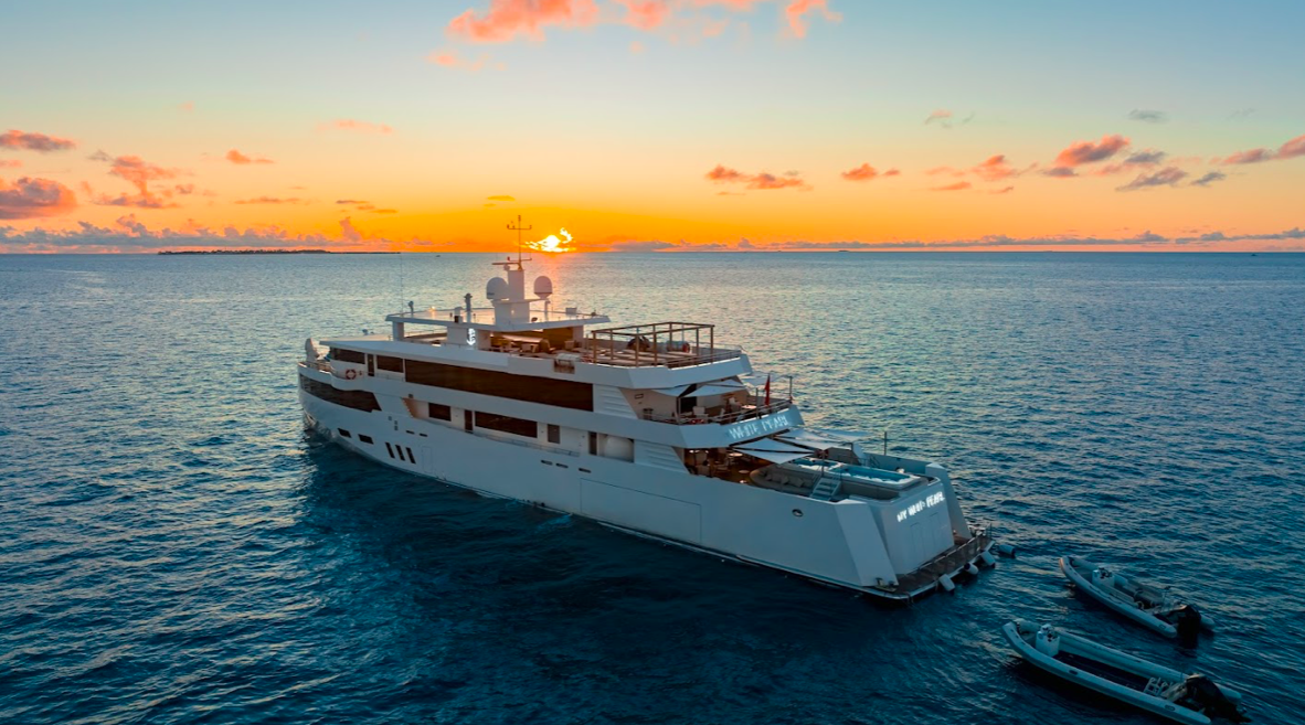 Photo #9 - White Pearl (White Pearl) in Male - 3492