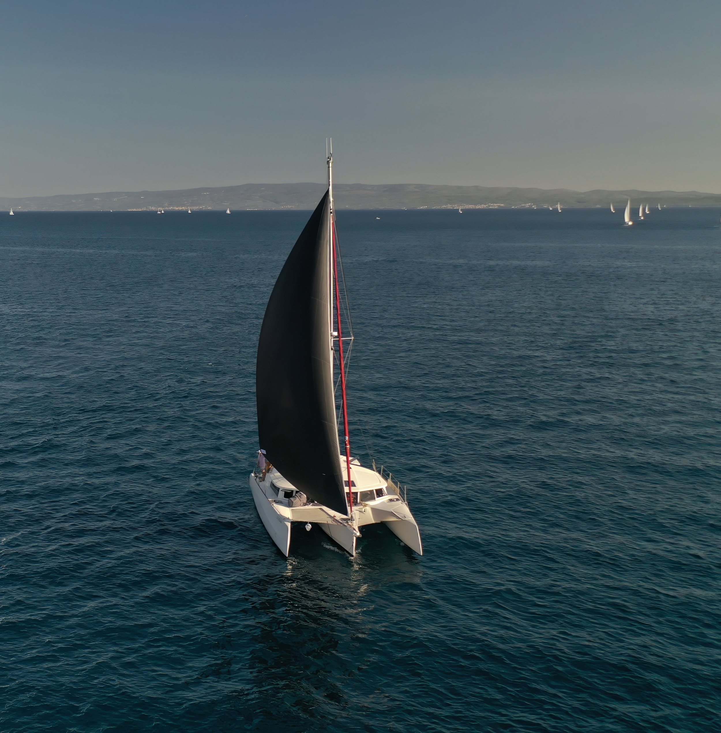 Photo #25 - NEEL 43 (Sardinia) en Carloforte - 3493