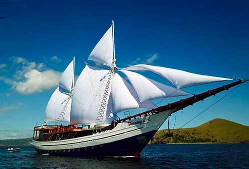 Photo #6 - Pinisi (Dancing Wind) in Sorong - 3556