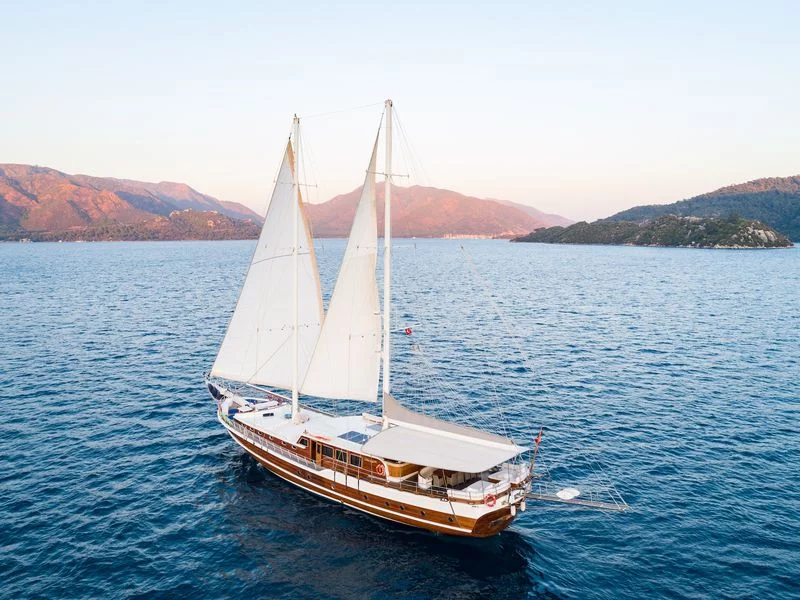 Custom-built (S Nur Taylan)  - 4