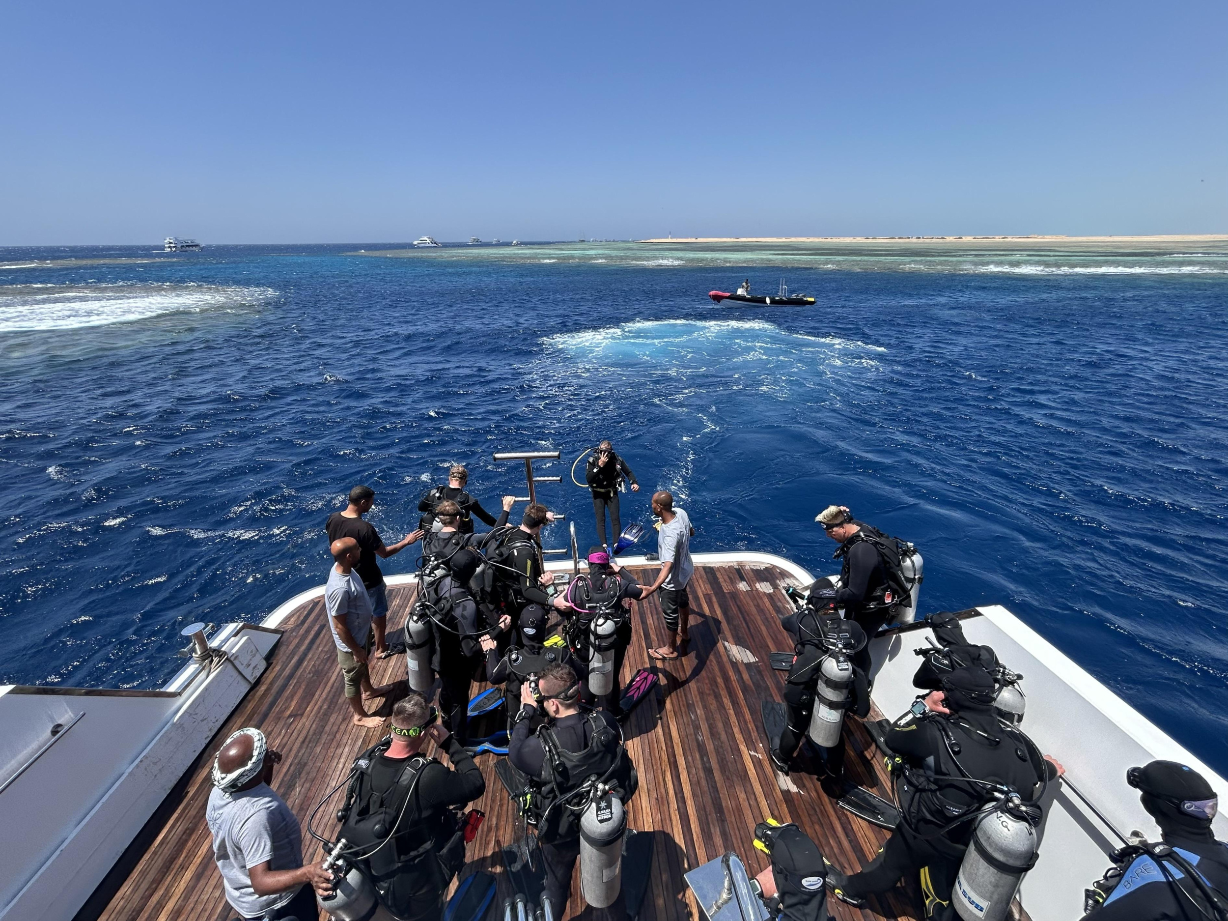 North and Straits of Tiran - Dive Safari in Egypt — photo 15