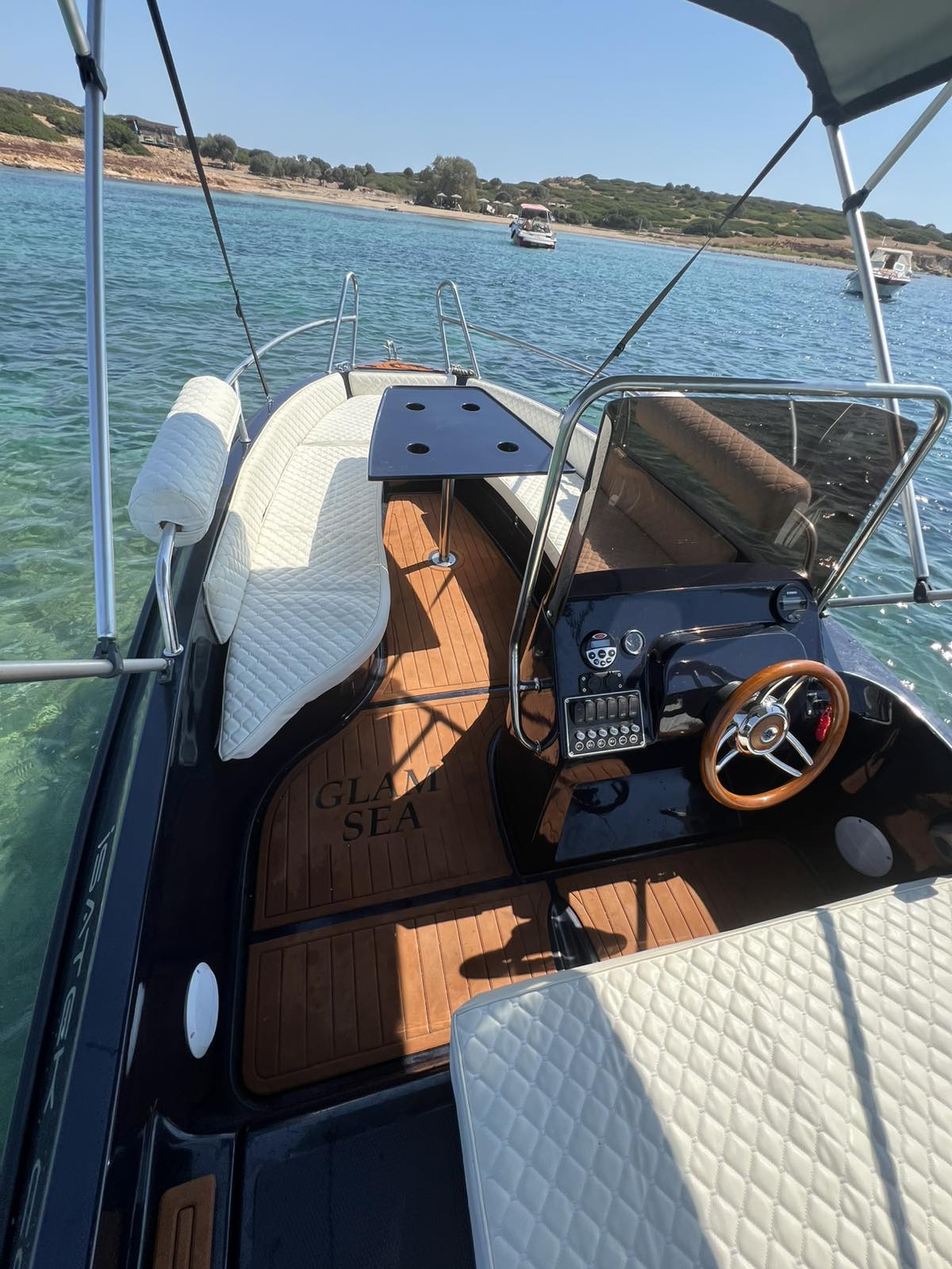 COBRA 495 — photo 11