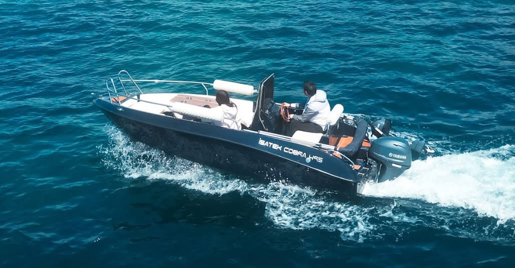 COBRA 495 — photo 16