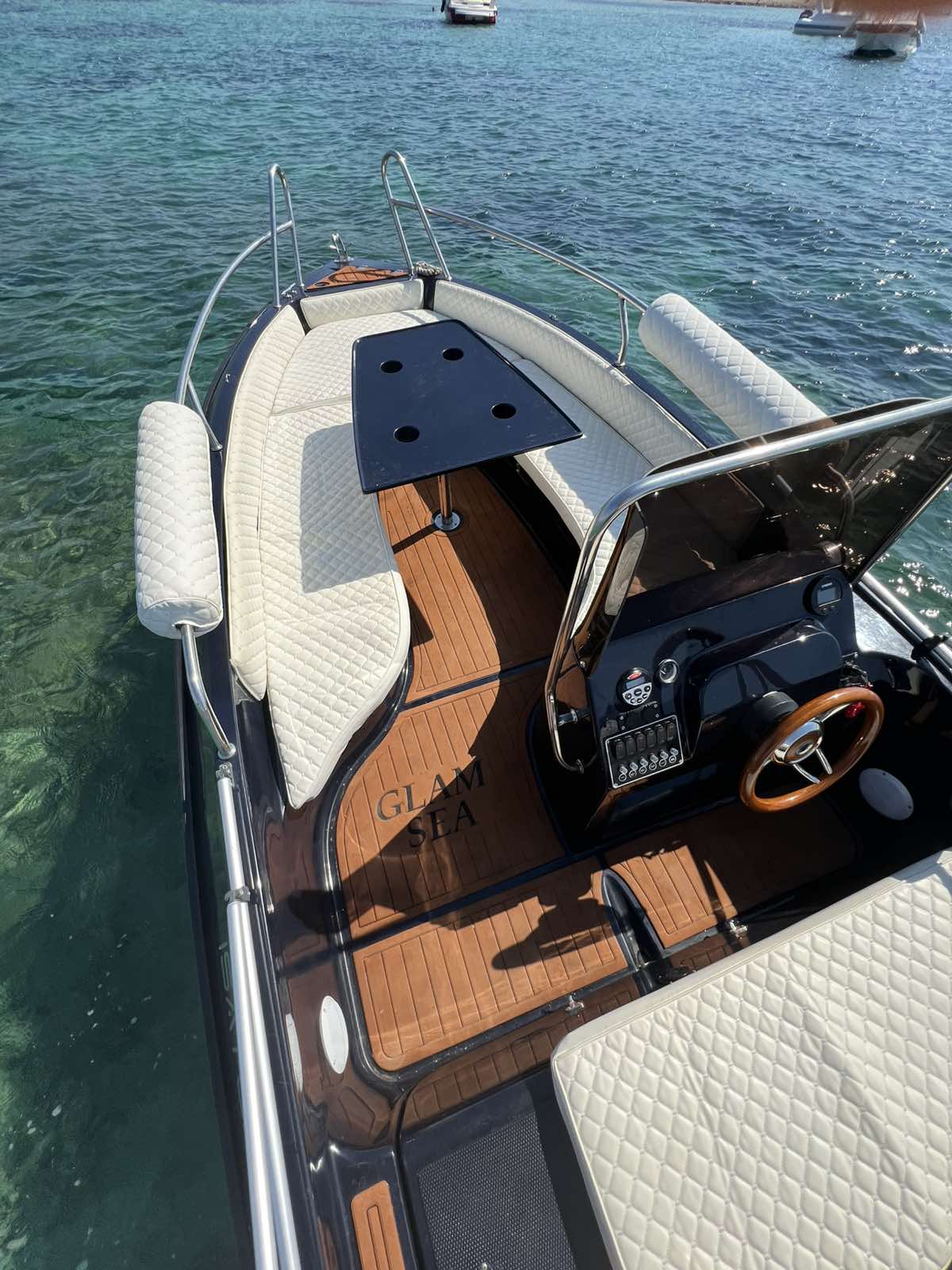 COBRA 495 — photo 17