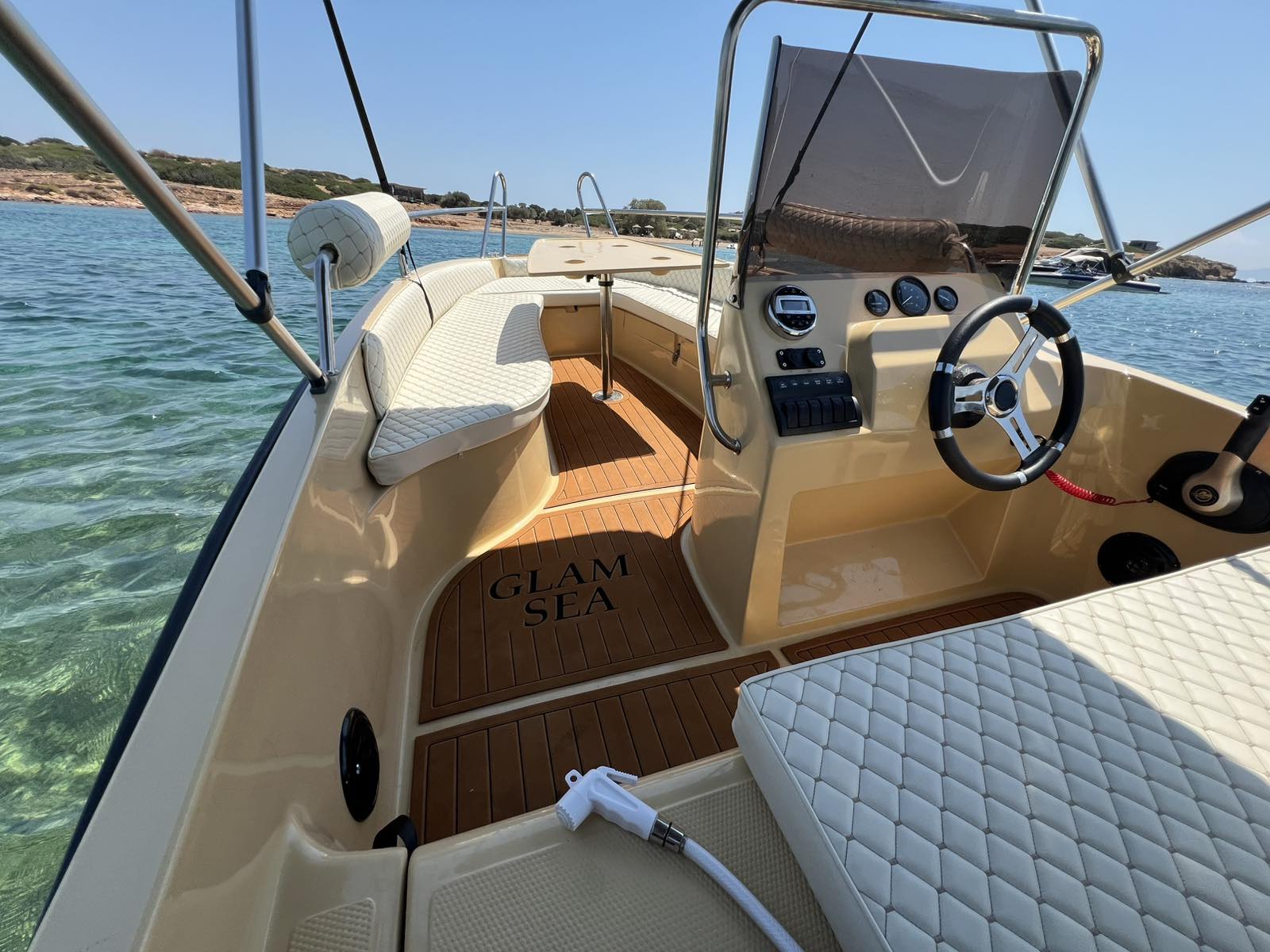 Cobra 495 — photo 1