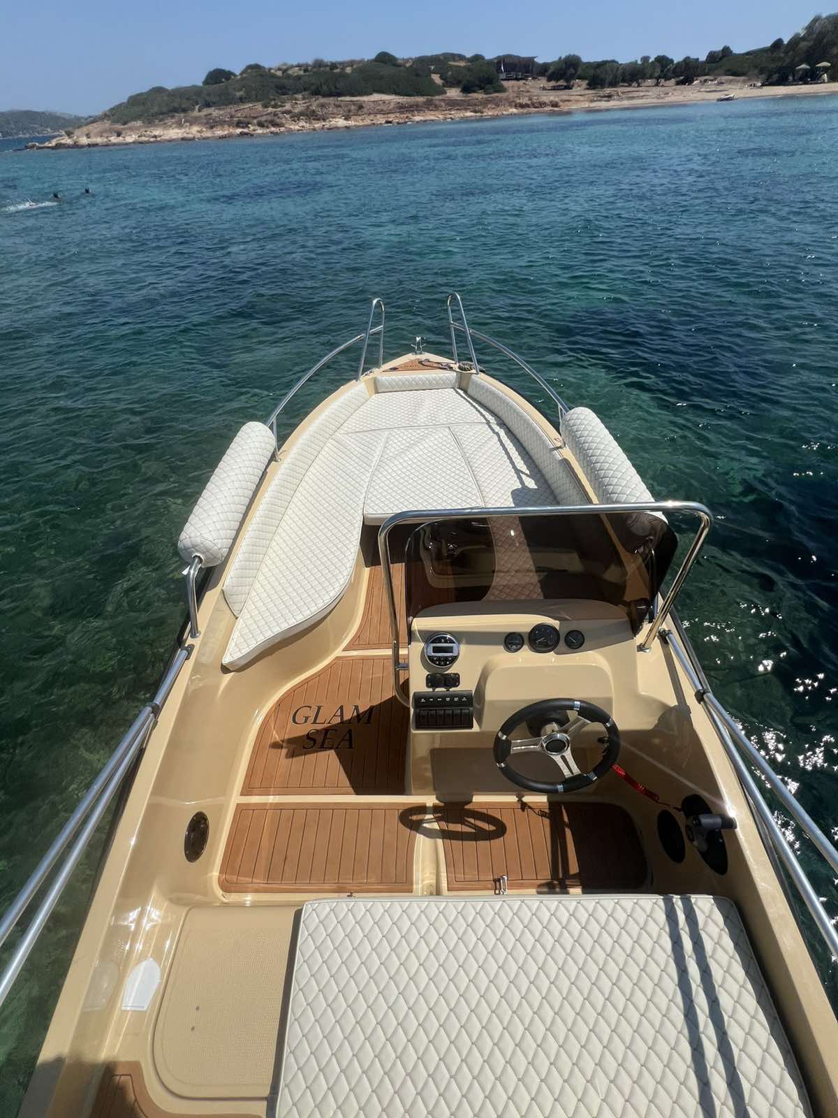 Cobra 495 — photo 15