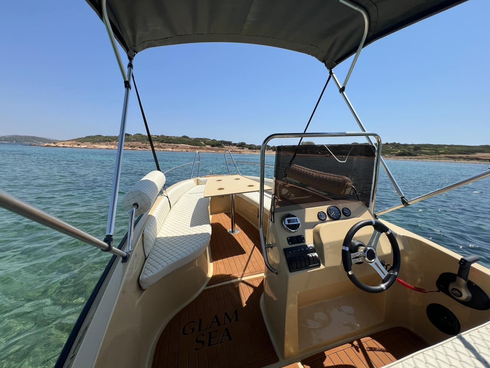 Cobra 495 — photo 19