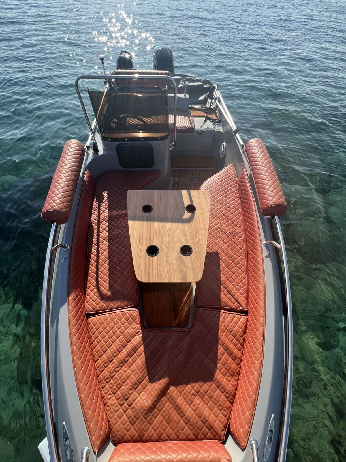 COBRA 495 — photo 8