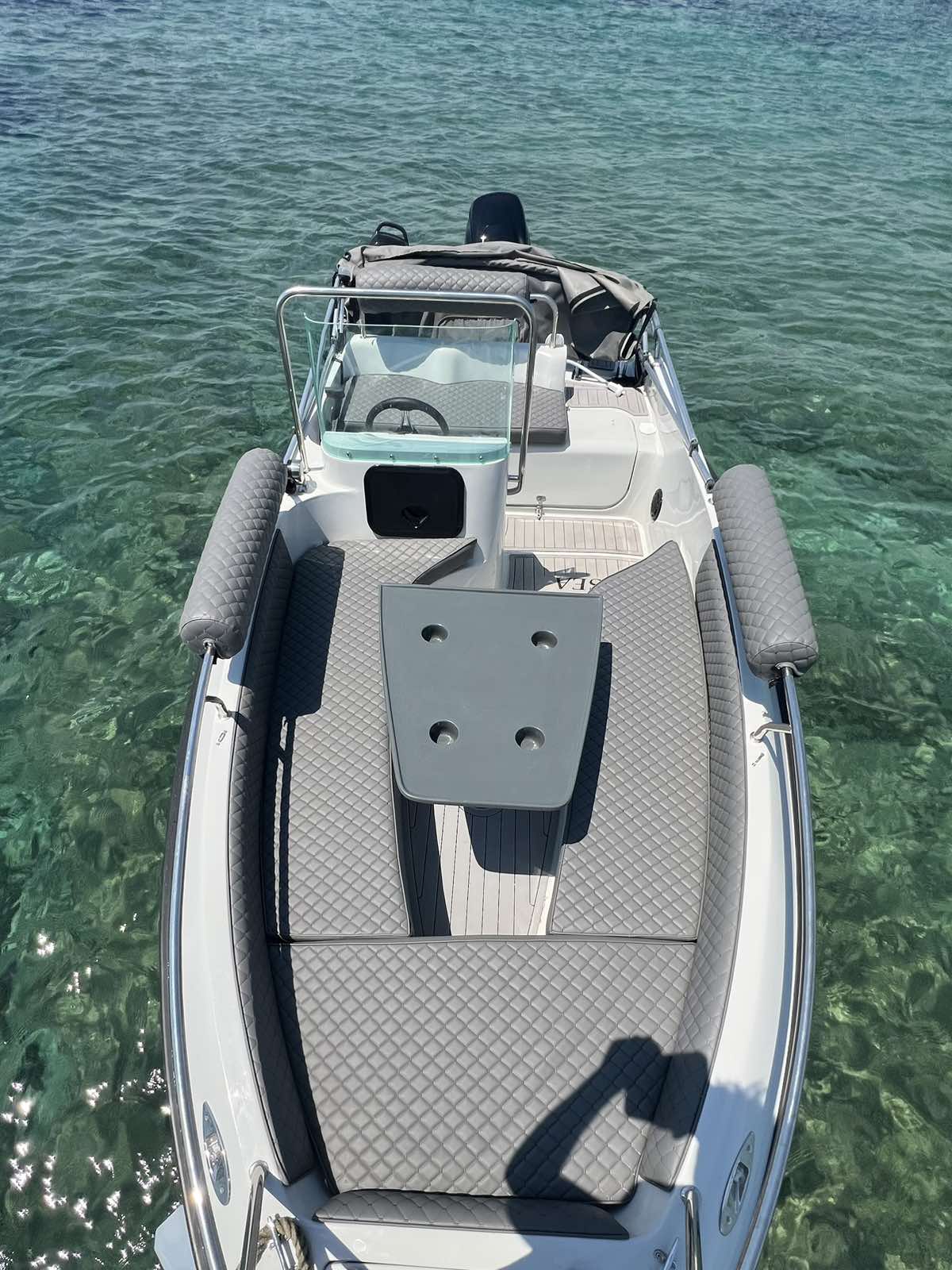 COBRA 495 — photo 6