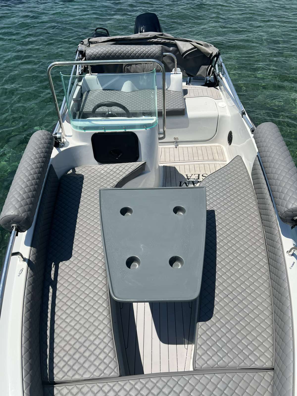 COBRA 495 — photo 12