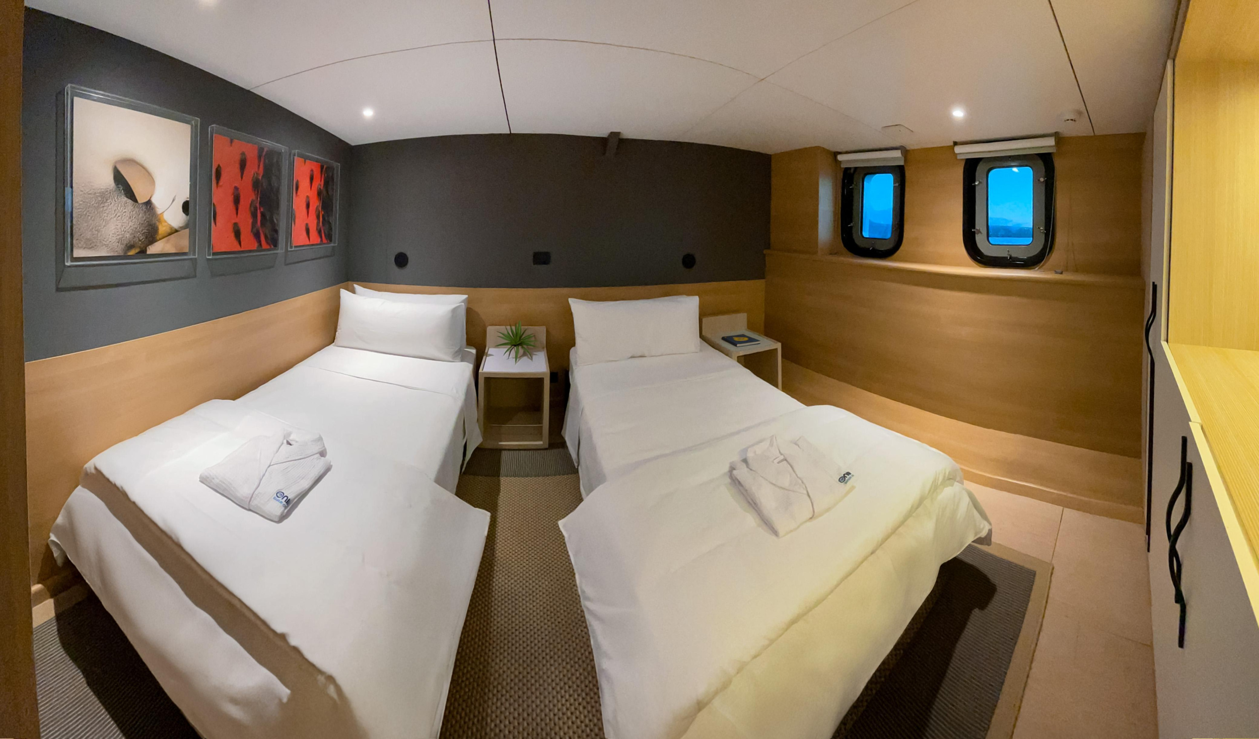 Galapagos Tribute - Darwin's Odyssey Cruise — photo 23