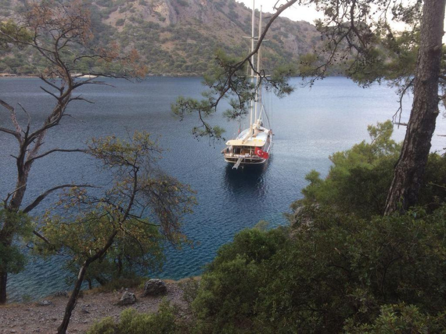Photo #3 - Gulet (Bibi Aysegul Gulet) in Bodrum - 50648