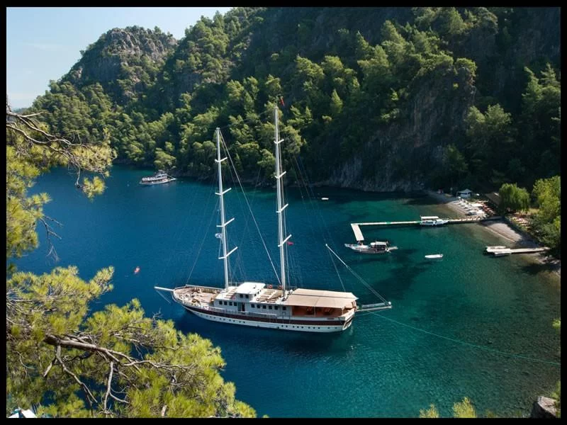 Gulet - Yacht (TERSANE 8 Gulet)  - 24