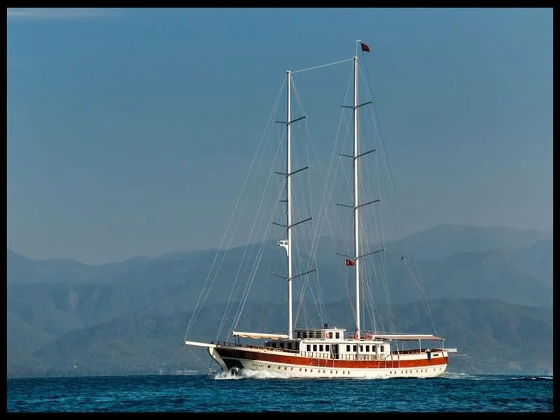 Gulet - Yacht (TERSANE 8 Gulet)  - 4