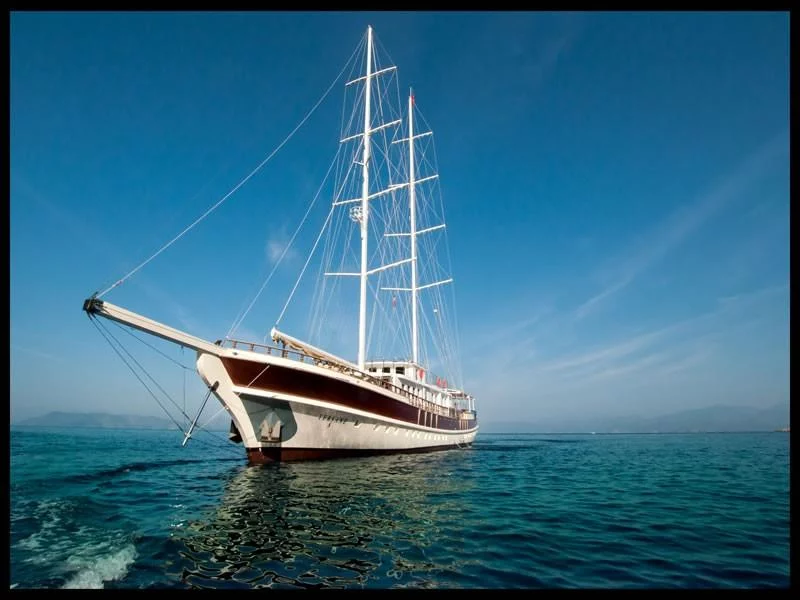 Gulet - Yacht (TERSANE 8 Gulet)  - 17