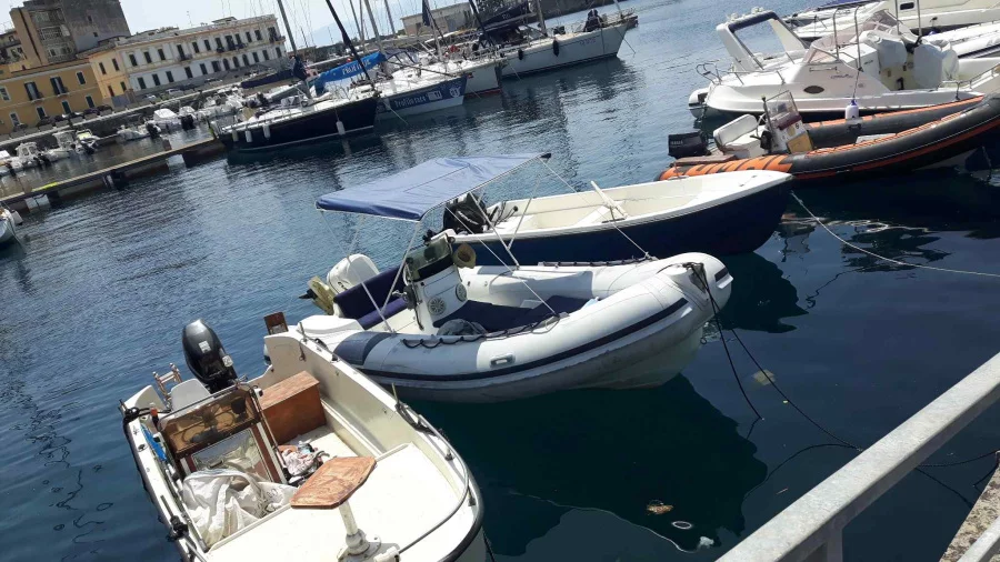 Predator 590 (PIPPO)  - 4