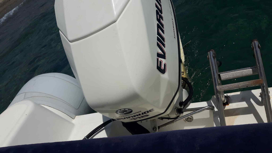 Photo #4 - Predator 590 (PIPPO) en Portorosa - 51614