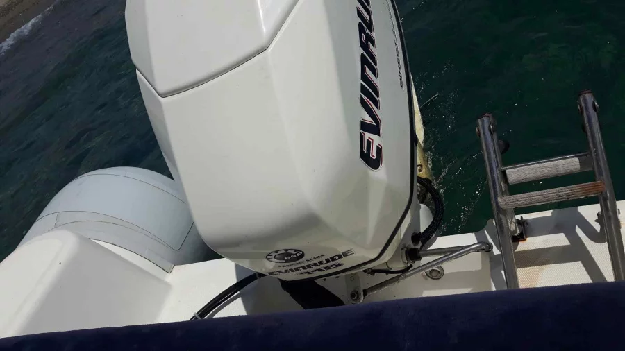 Predator 590 (PIPPO)  - 3