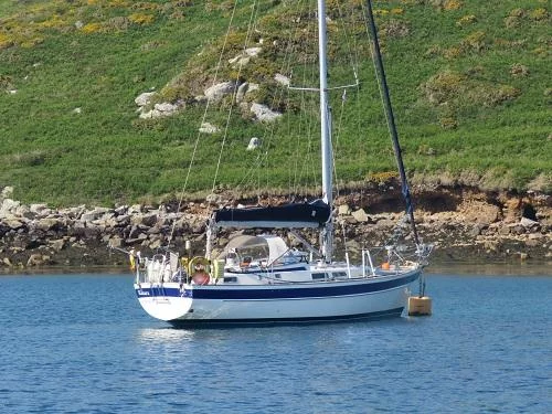 Hallberg Rassy 36 (Kasara)  - 0