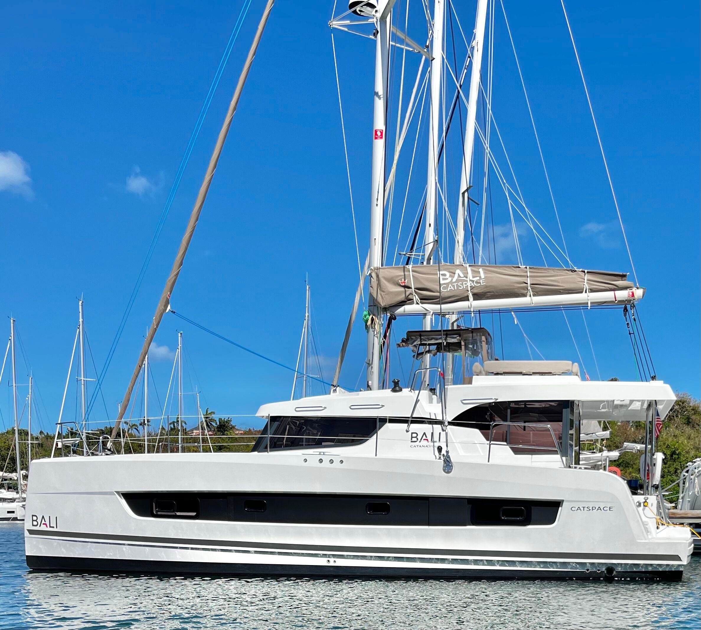 Photo #1 - Bali Catspace 40 (Pinnacle Cat) in Road Town - 54261