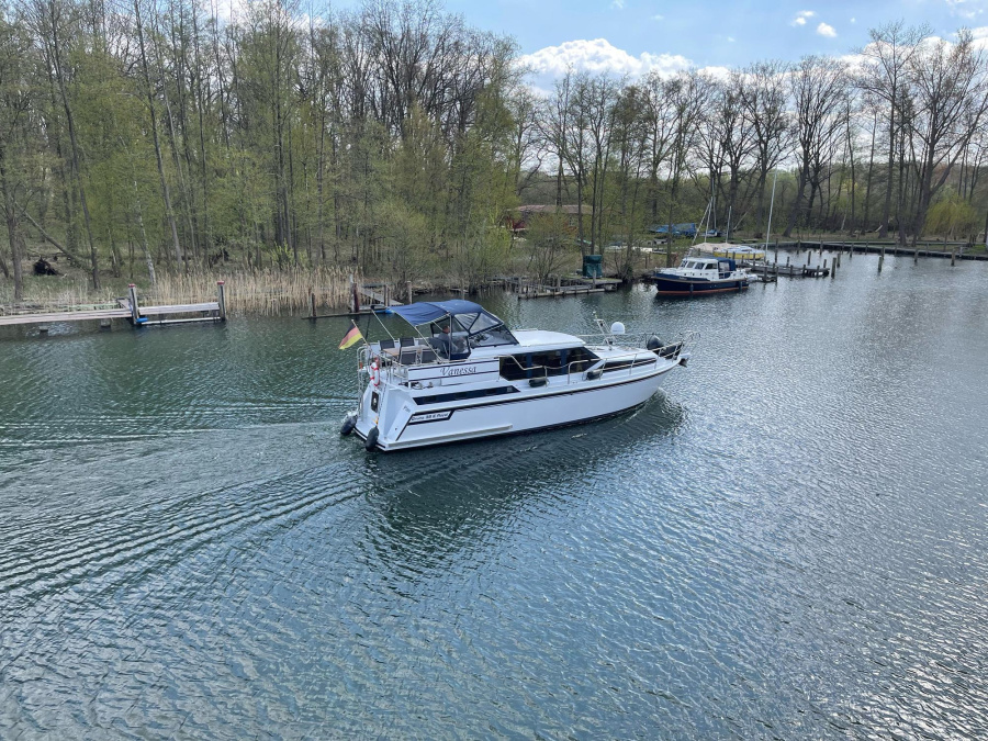 Photo #2 - Gruno38 E Royal (Vanessa) in Röbel - 1