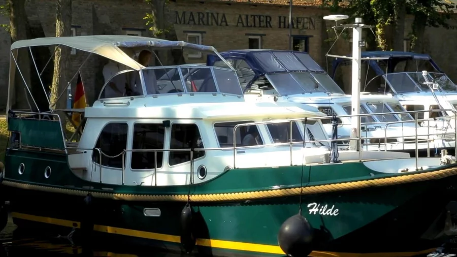 LinssenDutch Sturdy 320 Evergreen (Hilde)  - 1