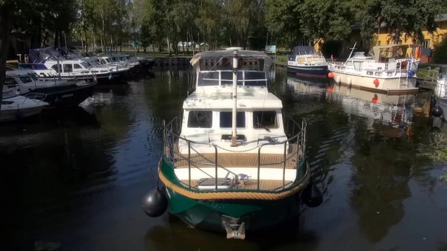 LinssenDutch Sturdy 320 Evergreen (Hilde)  - 7