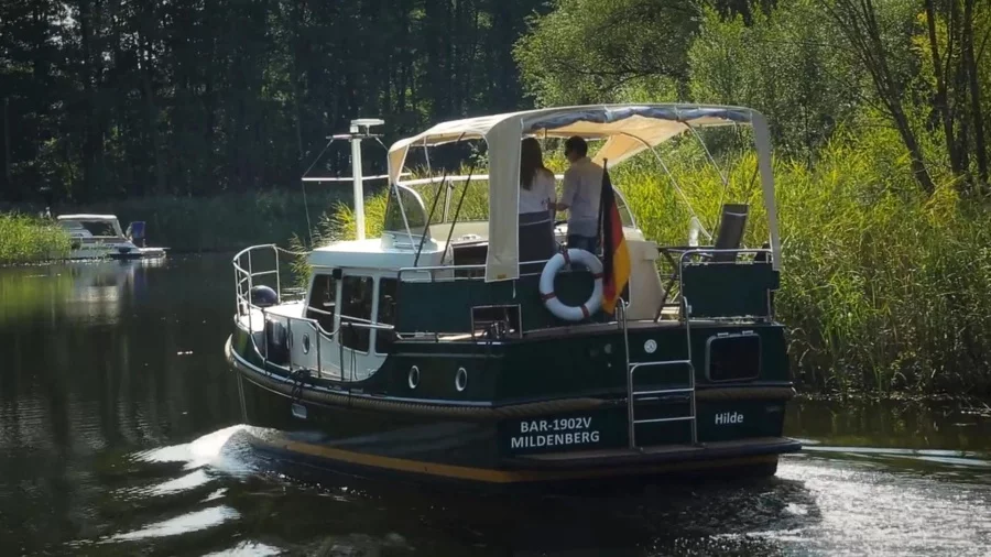 LinssenDutch Sturdy 320 Evergreen (Hilde)  - 9