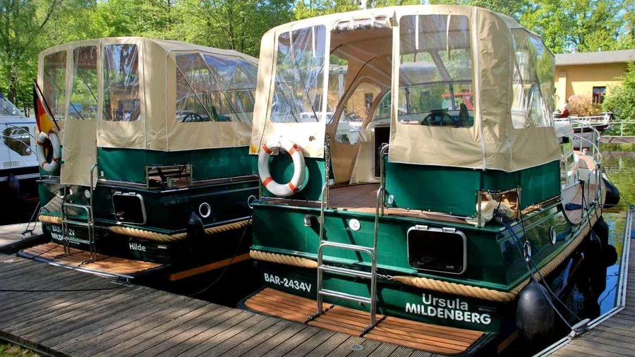 LinssenDutch Sturdy 320 Evergreen (Ursula)  - 5