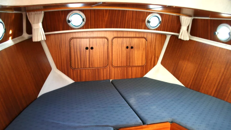 LinssenDutch Sturdy 260 OC (Mirabel)  - 9